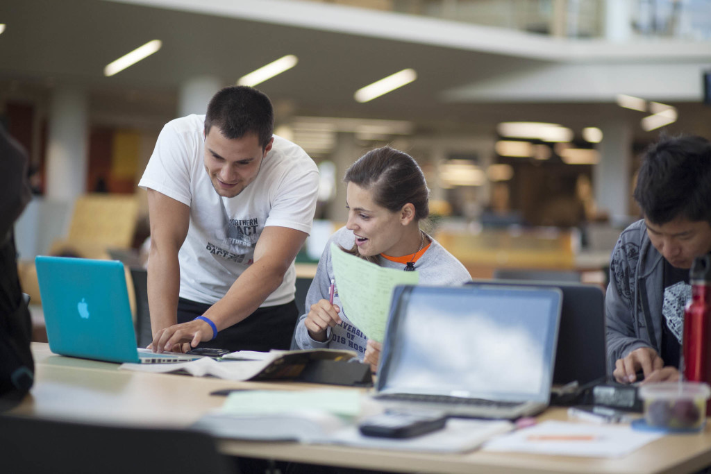 About Institute
